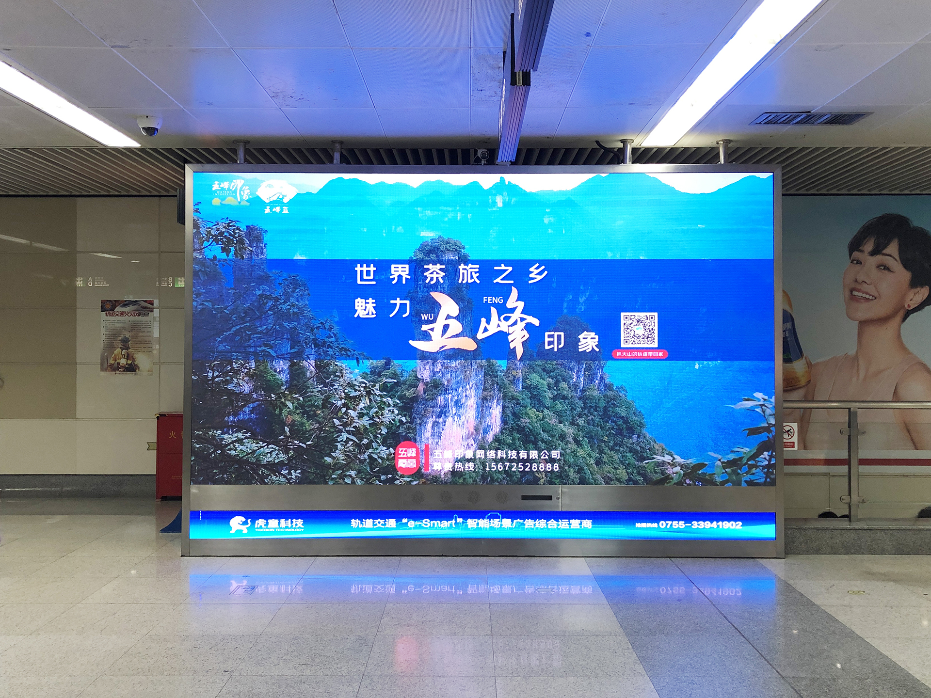 一杯春茶醉五峰 五峰印象满鹏城